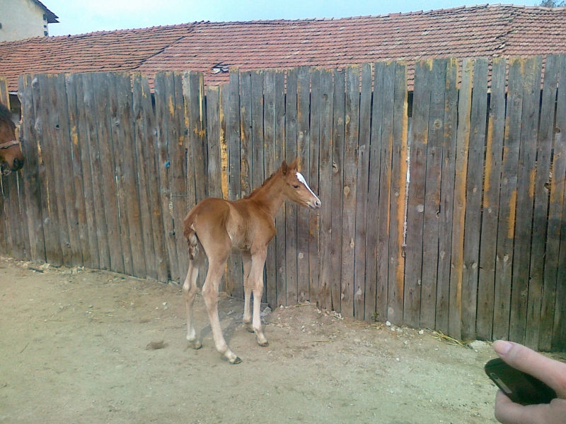Добре дошла, Никита!