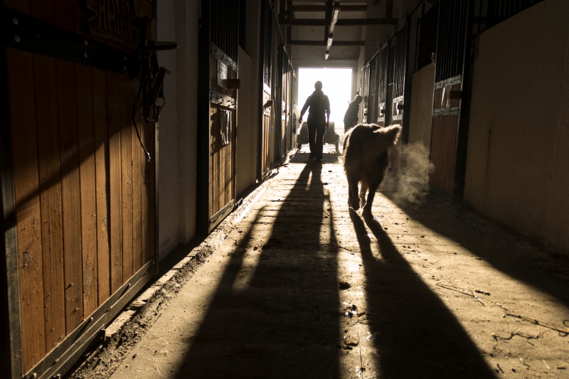 Лудото Тудорче идва...