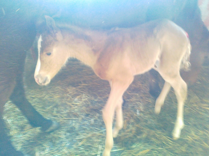 Добре дошла, Никита!