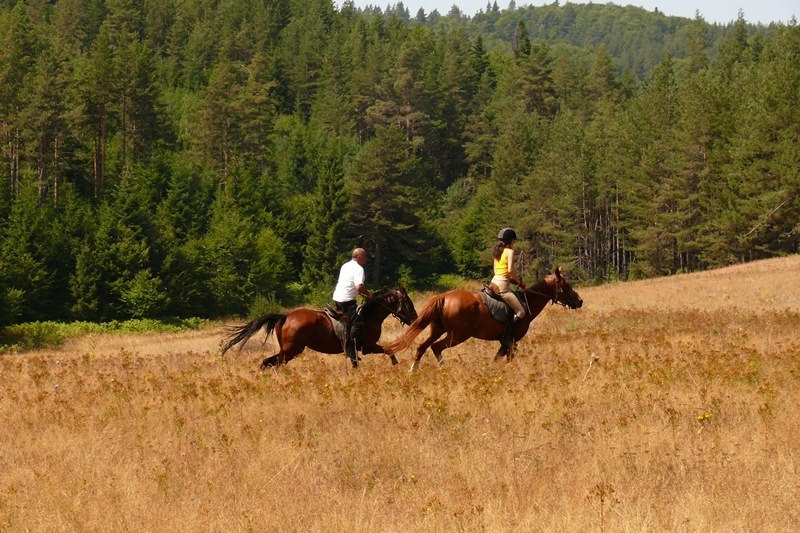 Трифон Зарезан или Свети
Валентин???