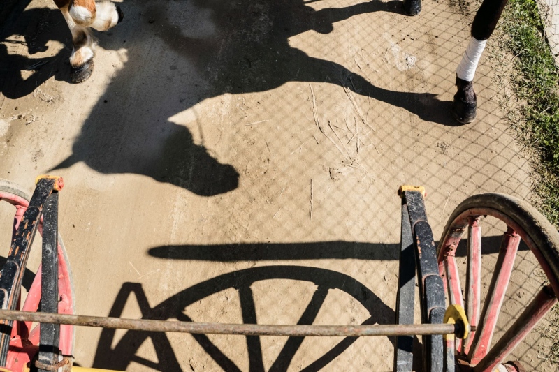 Лудото Тудорче идва...