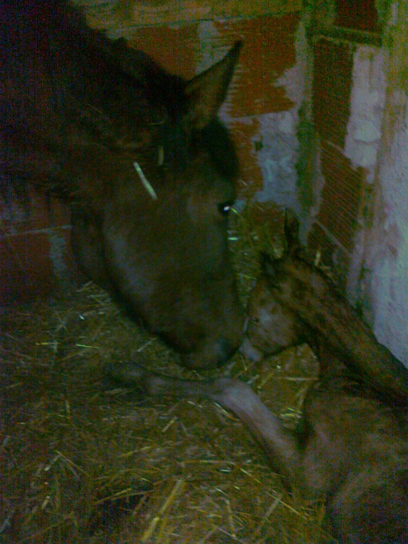 Добре дошла, Никита!